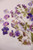 Small Assorted Dry Flower Stickers