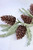 Mossband Greens Pinecone Pick - Set Of 2