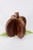 Dark Mango Slotted Pumpkin