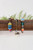 Confetti Dreams Bracelet Set