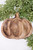 Pumpkin Dip Tray Set