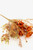 Fall Flower - Pick