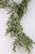 Pewter Eucalyptus Garland - Olive