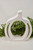 White Open Pumpkin Stand