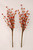 Orange Loxley Berry Pick - Set Of 2