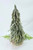 Golden Sparkle Spruce Tree