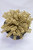9" Astilbe Half Sphere - Flax