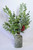 Atwood Eucalyptus Spray - Set Of 2