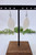 Gentle Gleam Earrings - White