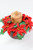 Leafy Poinsettia Candle Ring