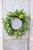 Wreath - Fresh Picked Daisy