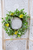 Wreath - Fresh Picked Daisy