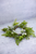 Candle Ring - Eucalyptus And Fern