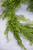 6' Strolling Greens Garland