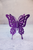 Purple - Fluttering Butterfly