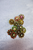 Multi-Color Brooch Set - Set of 12
