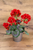 17.5" Jubilee Geranium Bush with Galvanized Bucket