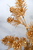 30" Lit Floral Pick - Gold