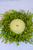 6.5" Smilax Candle Ring - Green