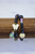 Story In Stone Bracelet