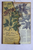 Beautiful Memories - Set of 4 Paper Packs