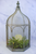 Small - Cathedral Lantern