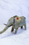 Recycled Metal Elephant