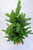 Soft Touch Alpine Tree With Burlap Base