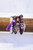 Wander In Wonder Bracelet Set