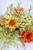 10.5" Half Sphere - Autumn Embrace