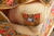 Rust And Radiance Bag