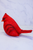 Resin Male Cardinal
