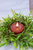 Set of 2 - Large Orange LED Tea Light Candles