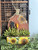 Wooden Pumpkin Makeover *FINAL SALE*