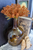 9" Bursting Astilbe Half Sphere - Pumpkin