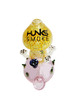 HUNKS SMOKE PREMIUM 5" MUSHROOM WATER PIPE GB120