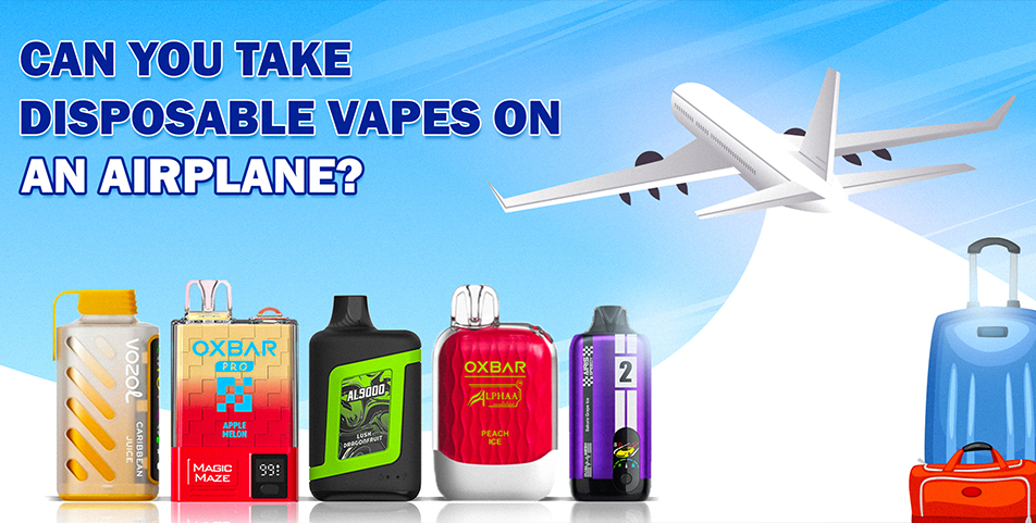Bring Vape Juice Can You Take Disposable Vapes On An Airplane Ryanair At  Luke Kinnear Blog Plane Qatar Airways