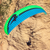 APCO Karisma II Paramotor