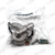 Vittorazi C415 Pump cover