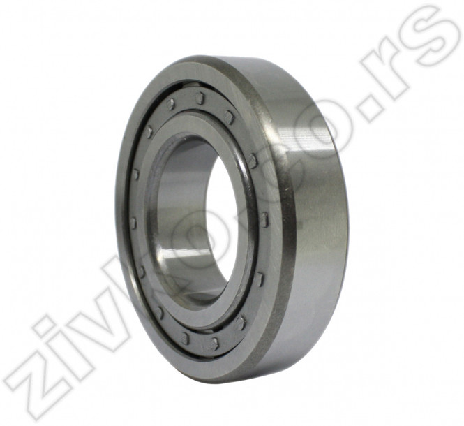 Cilindrično-valjkasti ležaji NJ 204 E [Z&S] - 4