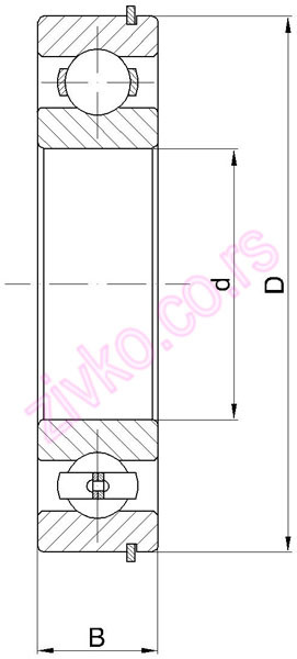 Crtež 6009 NR 2RS [TIMKEN]