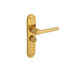 Forge FGEHPRIMODBR Backplate Handle Privacy - Modular Brass Finish