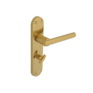 Forge FGEHBATMODBR Backplate Handle Bathroom - Modular Brass Finish