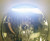 NBB Alpha 225 Xenonkonverterad 12v Inbyggd ballast LED Positionsljus (4300K (Var [NB2-P43K70WSSIN]