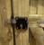 black locking bolt gate lock installed onto a wooden gate product image