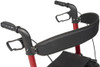 Allura Rollator LX5000 by Lumex Allura Rollator LX5000 by Lumex