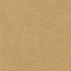 Golden PR519 Cloud with Twilight Brisa Buckskin fabric