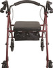 Probasics RLS6BG Steel Rollator rear view