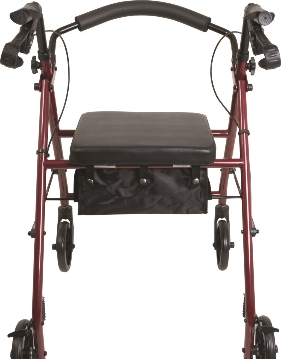 Probasics Steel Rollator RLS6 with 6