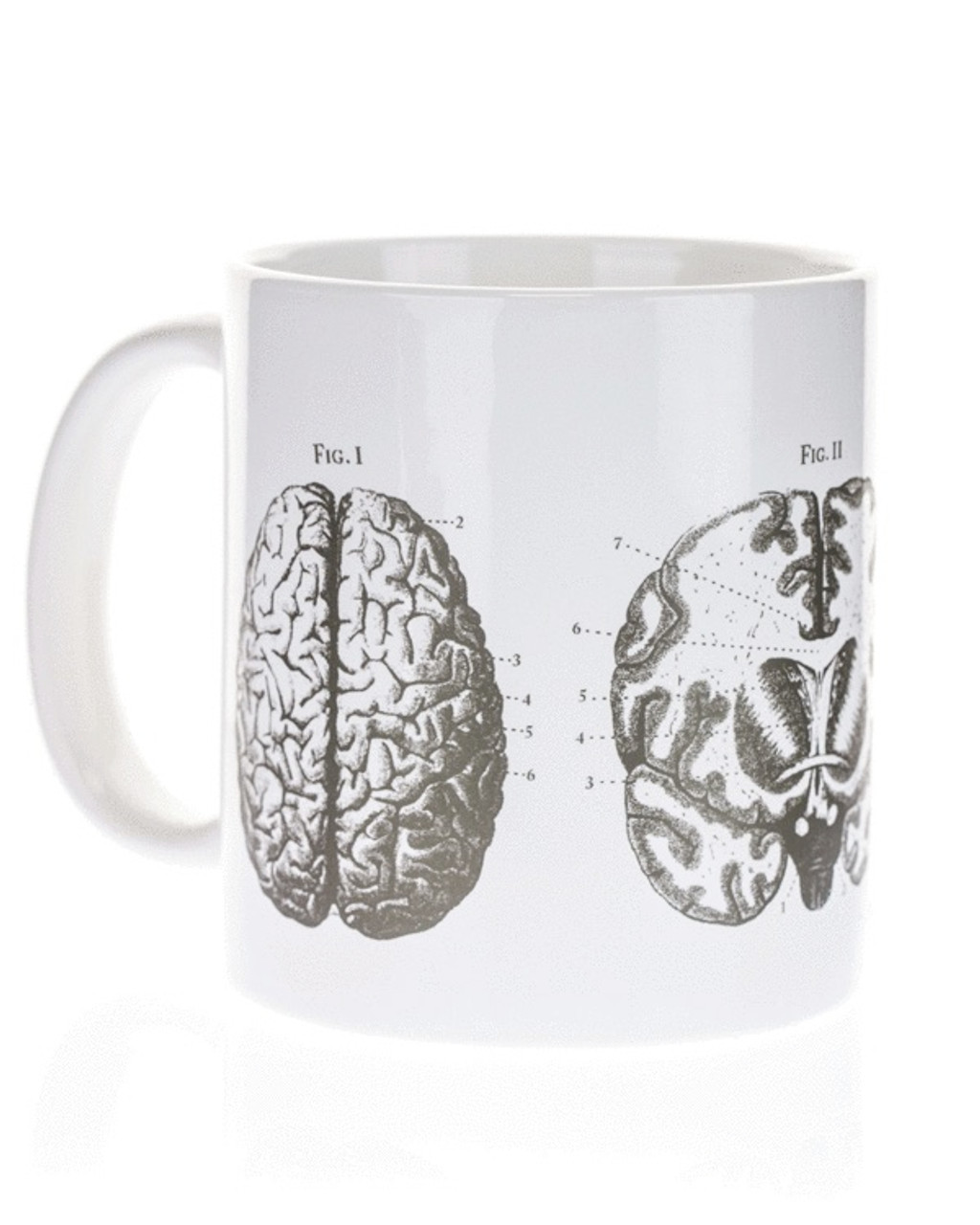 Neuroscience Mug 20 oz | Neuron Coffee Mug